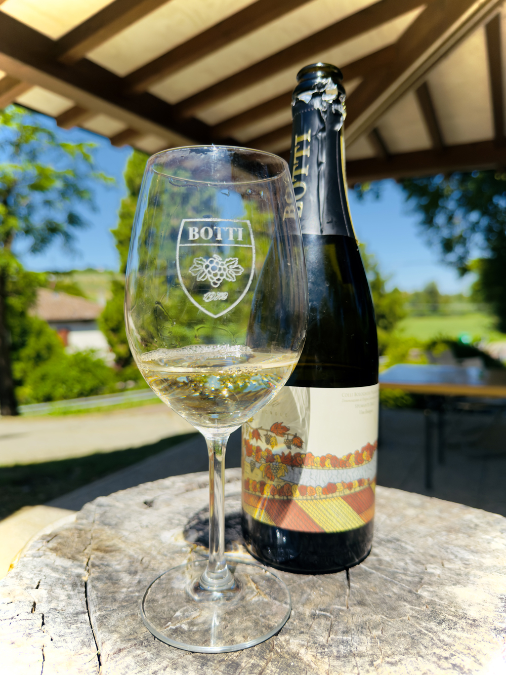 BOTTI AZ. AGR. DI BOVINA FABIO — foto 3